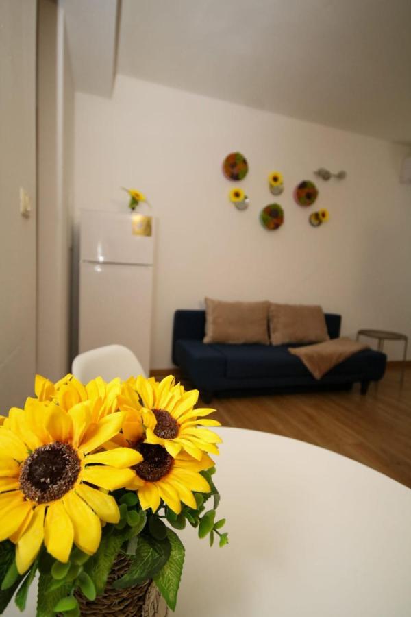 Sunrise Studio Temesvár Kültér fotó
